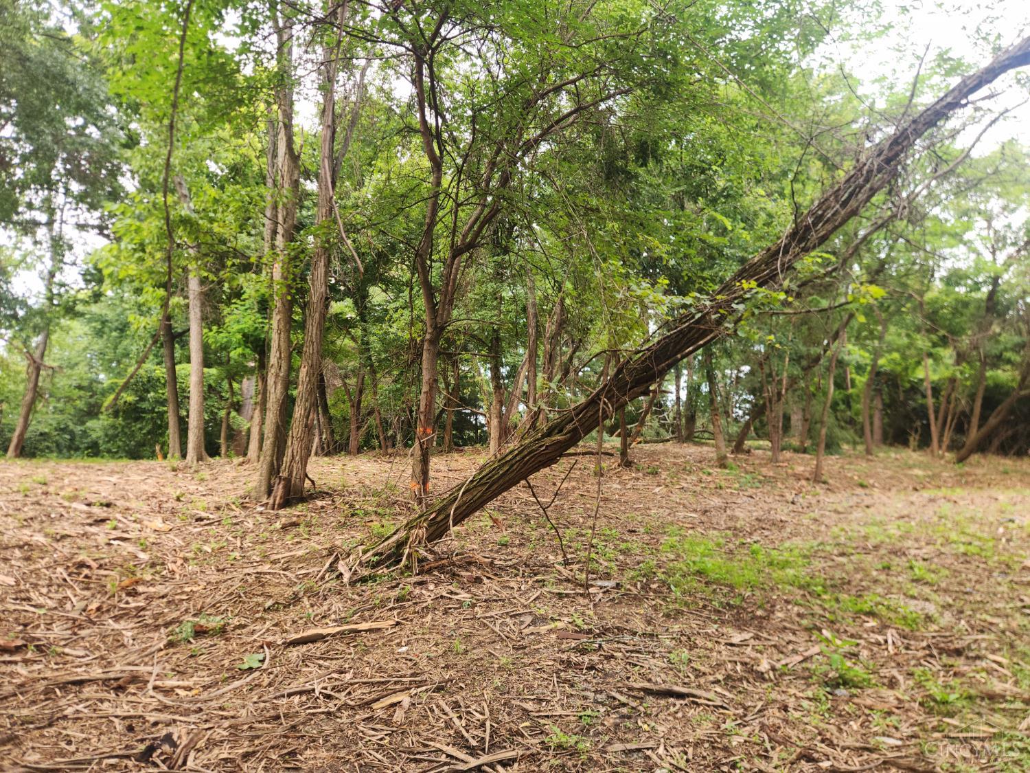 Land in Anderson Twp 3