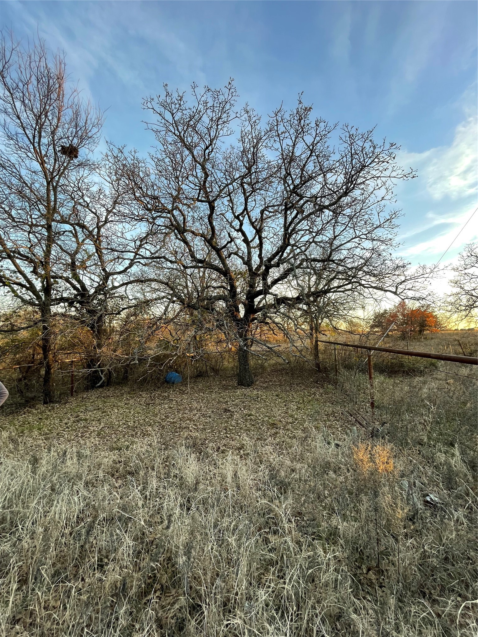 Land in Jacksboro 5
