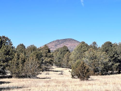7223 Daisy Dr, Williams, AZ, 86046 | Card Image