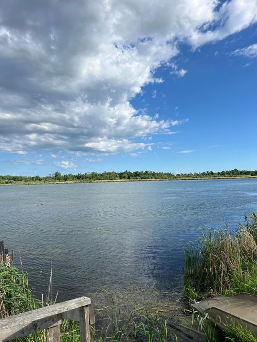 43xxx Inlet Estates Dr, Ottertail, MN, 56571 | Card Image