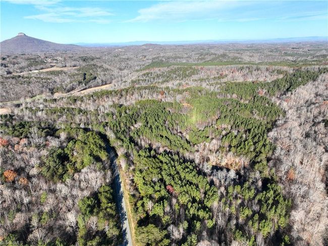 Lot 2- 0 Bowen Rd, Home with 0 bedrooms, 0 bathrooms and null parking in Pinnacle NC | Image 16
