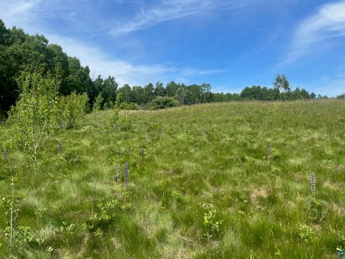 57xx Howard Gnesen Rd, Rice Lake, MN, 55803 | Card Image