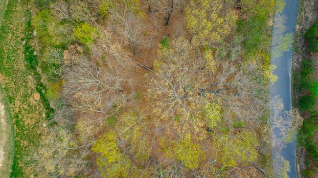 0 Old Rockey Trl, Home with 0 bedrooms, 0 bathrooms and null parking in Rising Fawn GA | Image 38