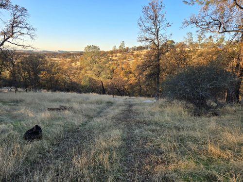 0 Avacado Road, Bangor, CA, 95914 | Card Image