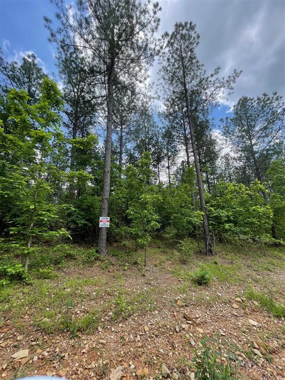 Land in Broken Bow 2