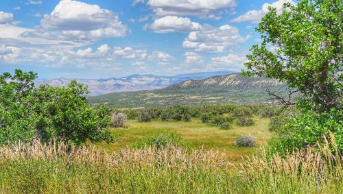 (Parcel 8) TBD Highway 65, Mesa, CO, 81643 | Card Image