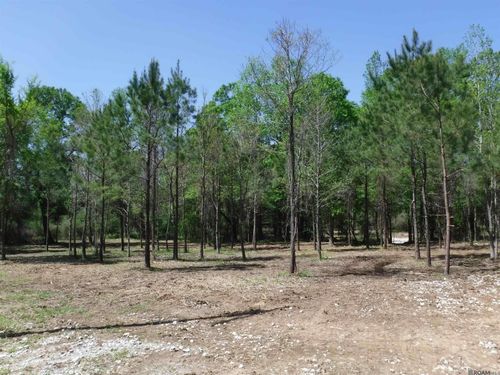 X7A Highway 955 W, Ethel, LA, 70730 | Card Image
