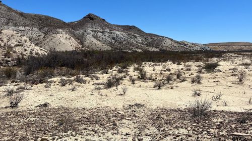 26549 Box Rd, Terlingua, TX, 79852 | Card Image