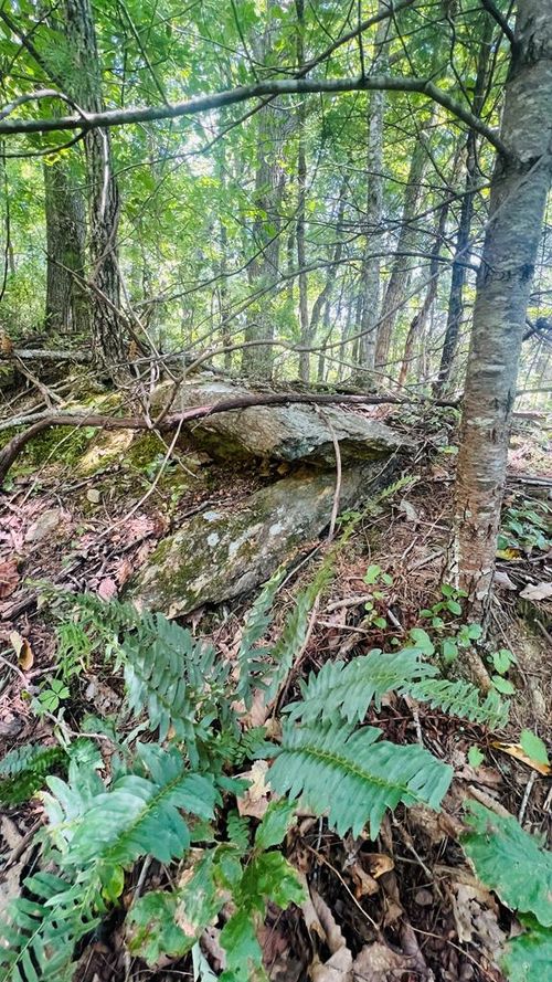 Lot 68 Black Gum Trl, Fancy Gap, VA, 24328 | Card Image