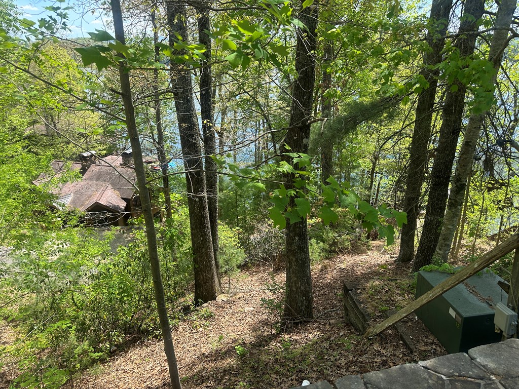 Land in Robbinsville 5