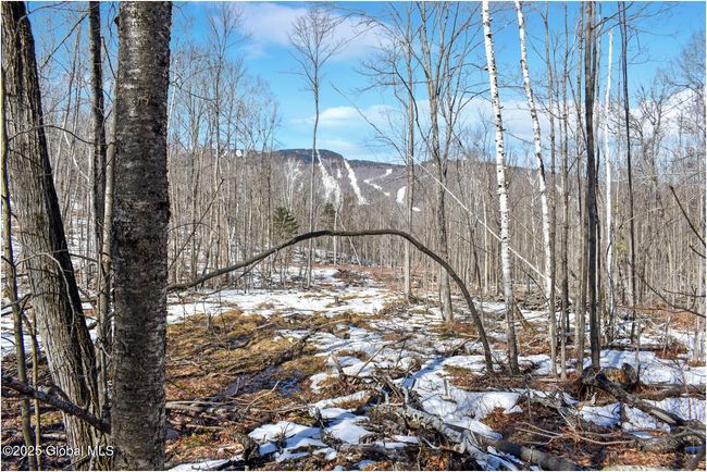 48 Durkin Rd, Home with 0 bedrooms, 0 bathrooms and null parking in North Creek NY | Image 23