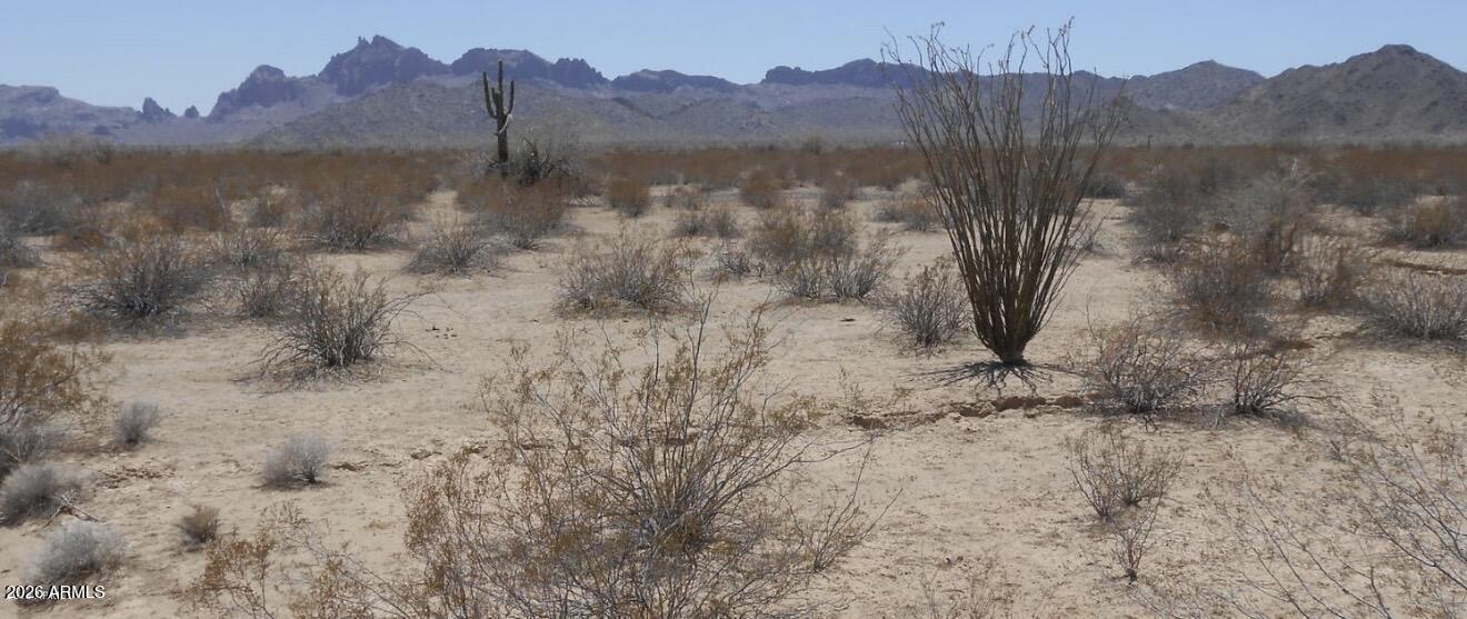 Land in Tonopah 2