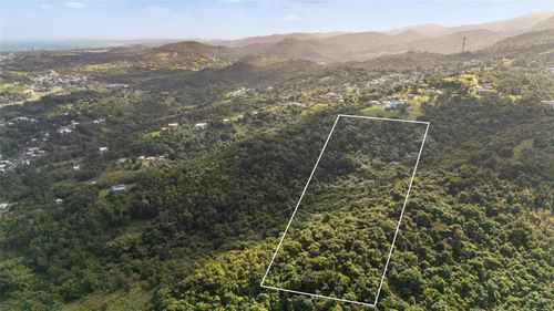 966 Zarzal Road, RIO GRANDE, PR, 00745 | Card Image