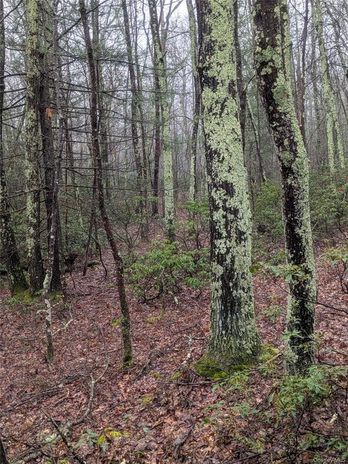 99 Otens Rd, Ellenville, NY, 12428-5203 | Card Image