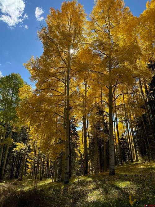 15050 145 Highway, Rico, CO, 81332 | Card Image