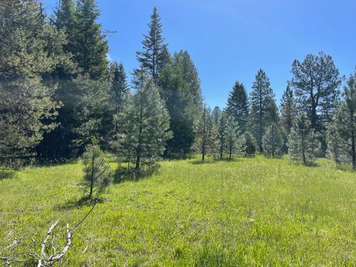 NHN S Shore Dr, Trout Creek, MT, 59874 | Card Image