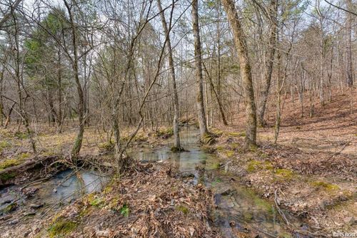 lot-11-19 Lookout Lane, Kirby, AR, 71950 | Card Image