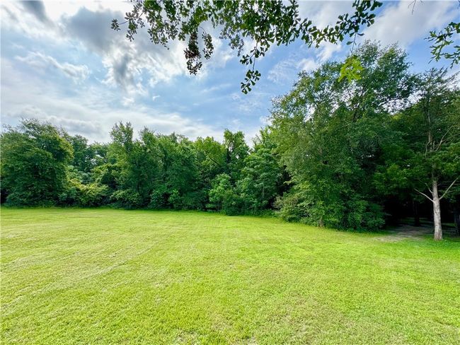 View of green lawn featuring a forest view | Image 7