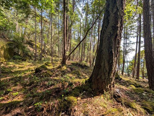 108 Herring Hts, Mudge Island, BC, V9X1P7 | Card Image