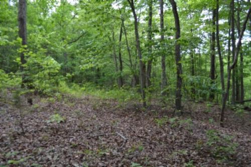 Lot 6 Forest Trl, Celina, TN, 38551 | Card Image