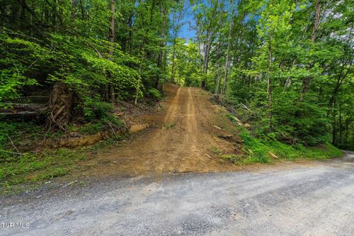 Tbd Longs Bend Rd, Rogersville, TN, 37857 | Card Image