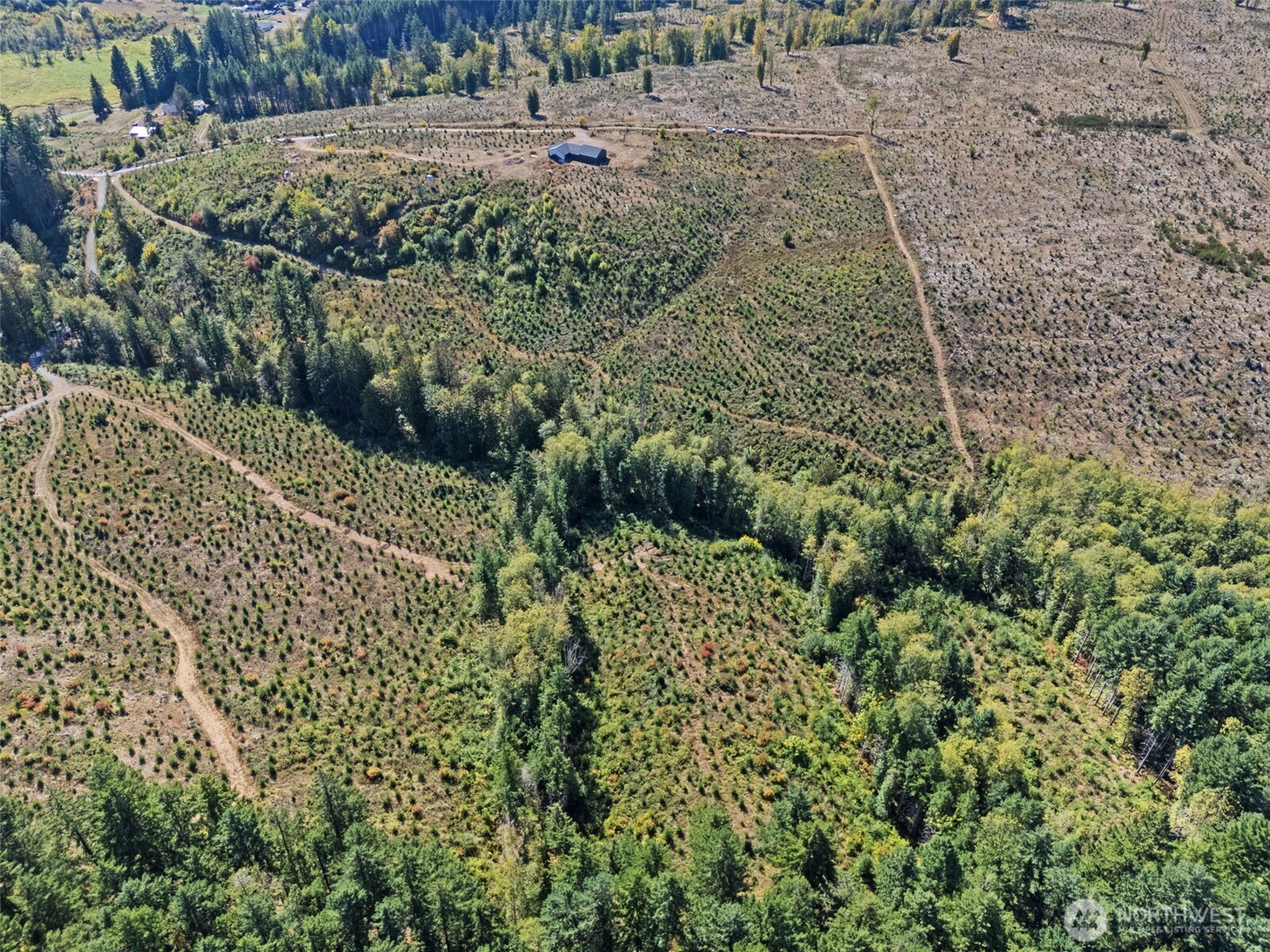 Land in Chehalis 2