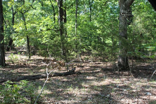 Lot 10-4 | Image 6