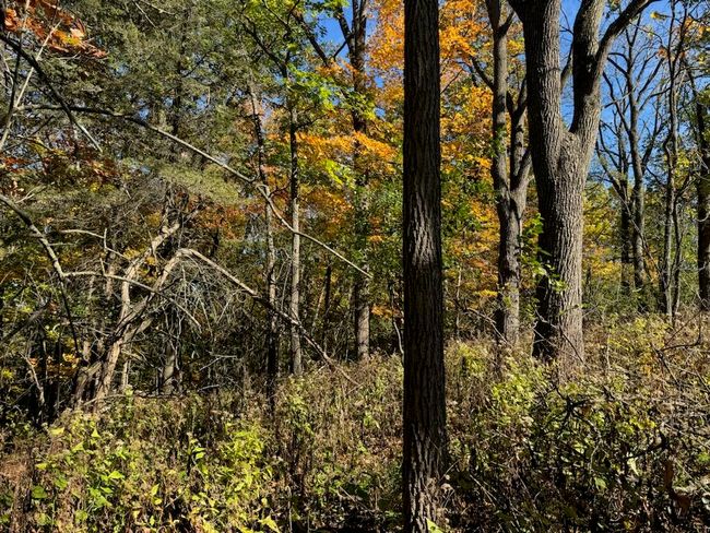 Lt0 State Road 83, Home with 0 bedrooms, 0 bathrooms and null parking in Hartland WI | Image 7