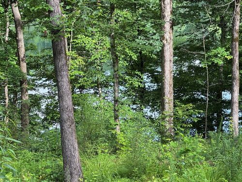 0 Lake Dr, Logan, AL, 35098 | Card Image