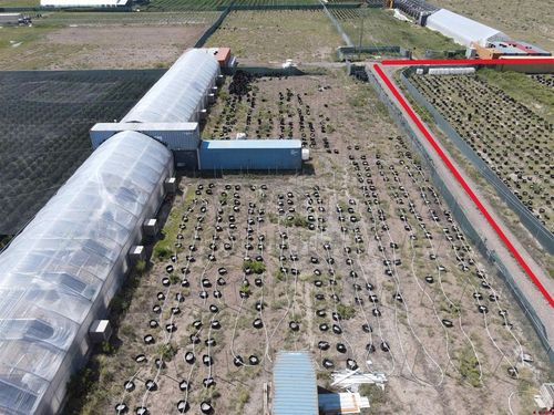 910 Silver Ln, Moffat, CO, 81143 | Card Image