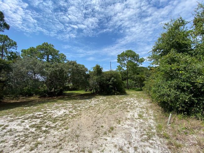 Lot #21 Watson Cir, Home with 0 bedrooms, 0 bathrooms and null parking in CEDAR KEY FL | Image 20