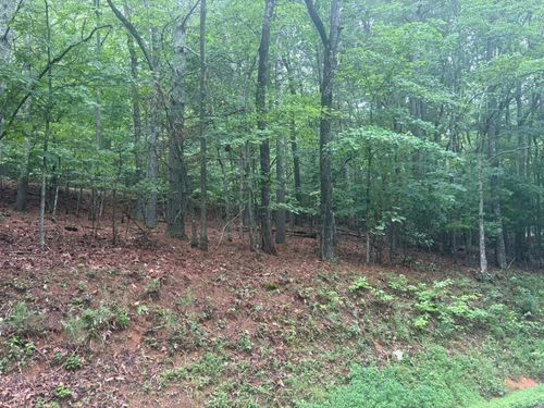 99 Nelson Cir, Blairsville, GA, 30512-4739 | Card Image