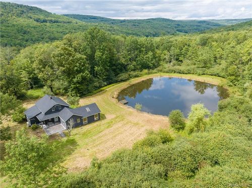 1667 Shandelee Road, Callicoon, NY, 12791 | Card Image