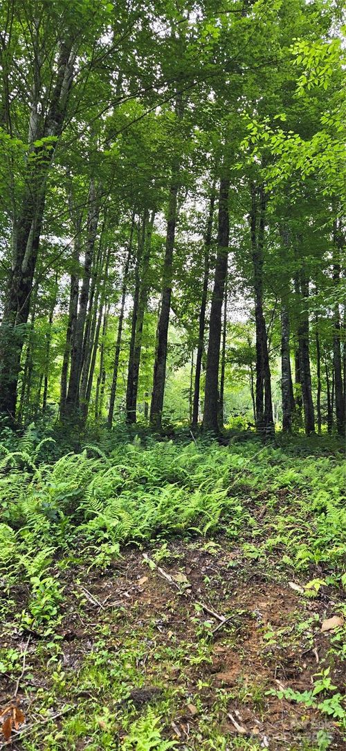 108-108 Tenderfoot Trl, Maggie Valley, NC, 28751 | Card Image
