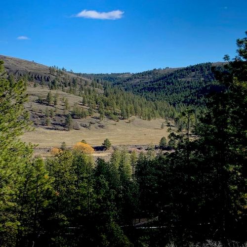 Lot 2 Scenic Short Plat Dr, Davenport, WA, 99122 | Card Image