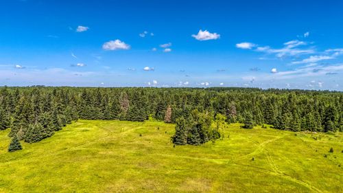 TBD 480th St, Laporte, MN, 56461 | Card Image