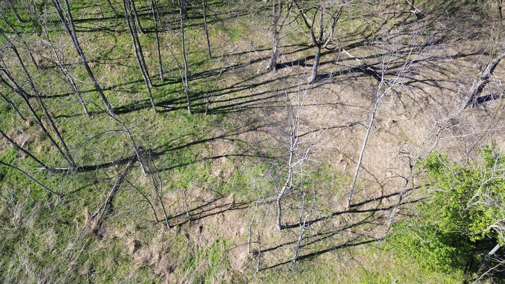 Land in Smithville 4