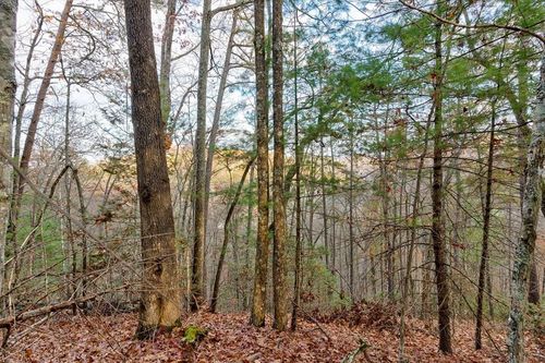 81 Whetstone Rd, Sevierville, TN, 37862 | Card Image