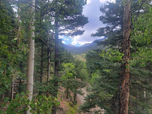 15 Coyote Ln, Taos Ski Valley, NM, 87525-8005 | Card Image