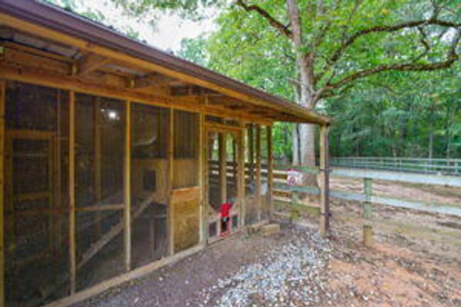 thumbnail-01920046-f79f-71f6-adcf-09a15c | Image 52