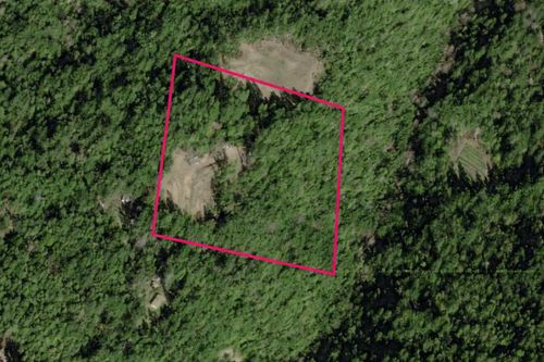 6255 Rancho Sequoia Dr, Alderpoint, CA, 95511-9007 | Card Image