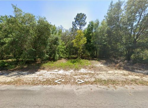 0 Guava Lane Pl, OCKLAWAHA, FL, 32179 | Card Image