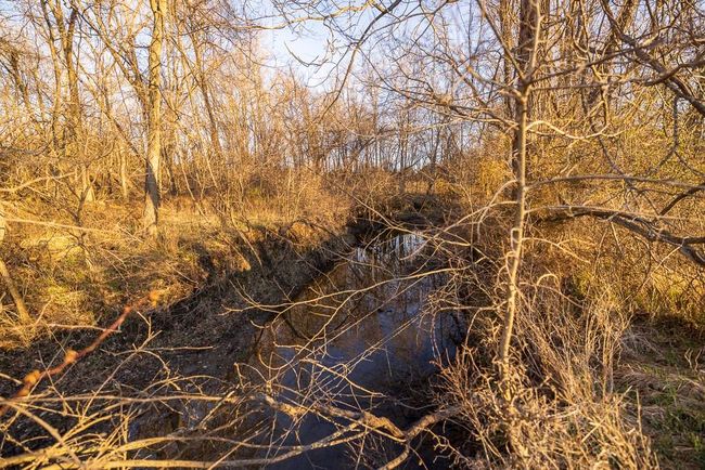 Tract 1 S Outer Belt Road, Home with 0 bedrooms, 0 bathrooms and null parking in Lone Jack MO | Image 27