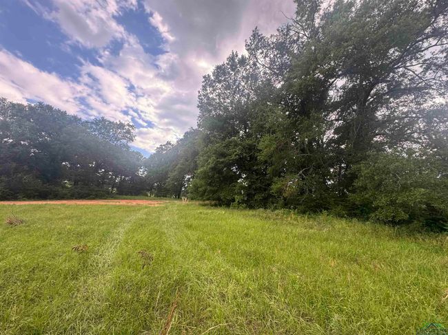 TBD 2174 Tbd 2174, Home with 0 bedrooms, 0 bathrooms and null parking in Tatum TX | Image 10