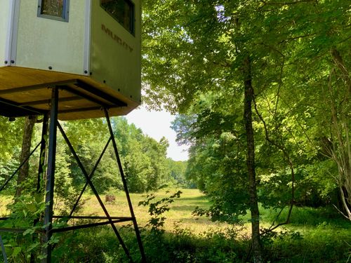 0 Largo Rd, Decaturville, TN, 38329 | Card Image