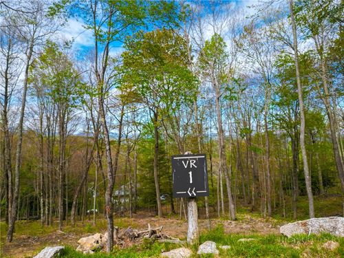 VR1 Red Sky Parkway, Elk Park, NC, 28622 | Card Image