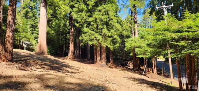 46785 Ocean View Dr, Home with 0 bedrooms, 0 bathrooms and null parking in Gualala CA | Image 6