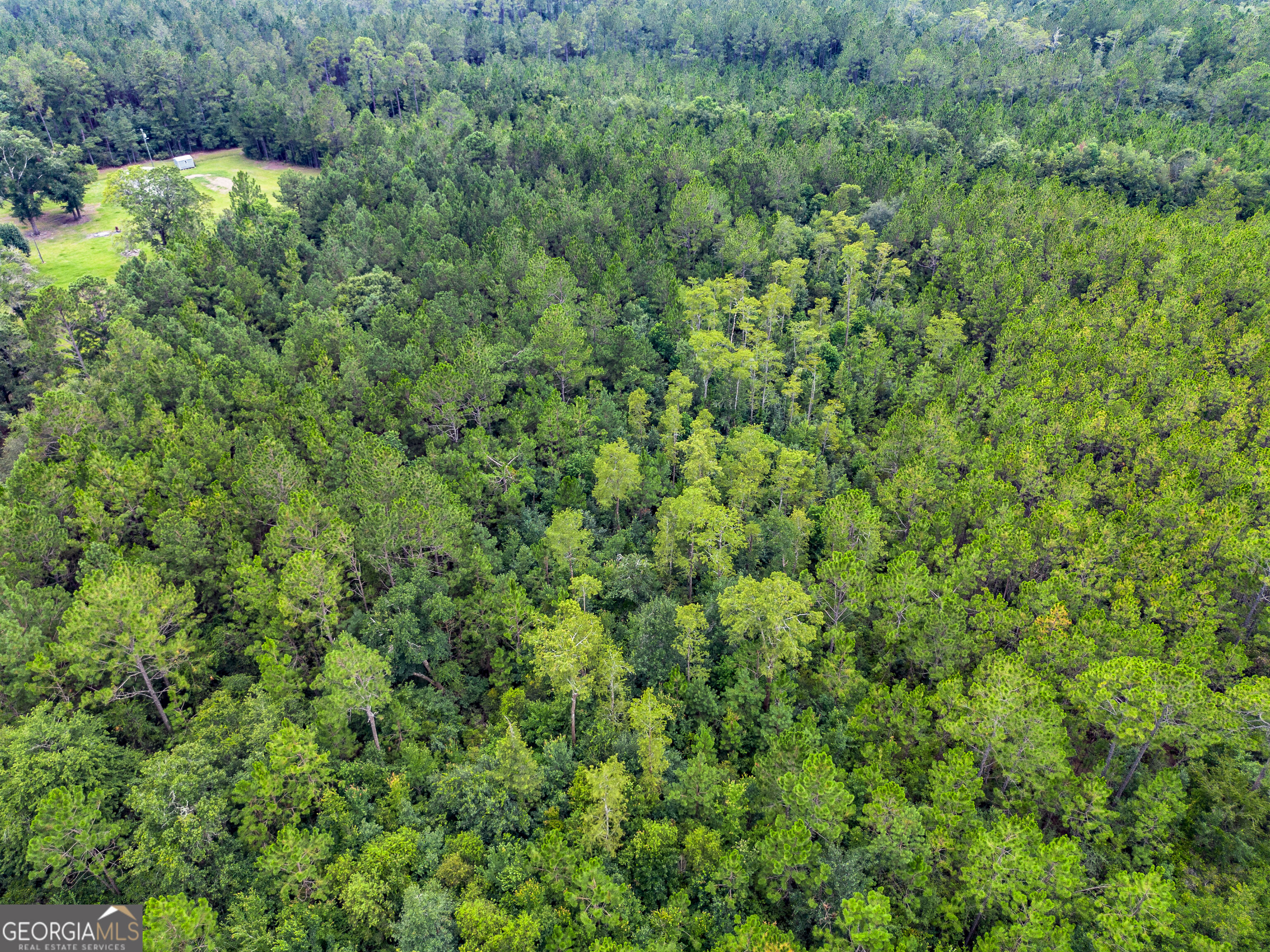 Land in Waycross 3