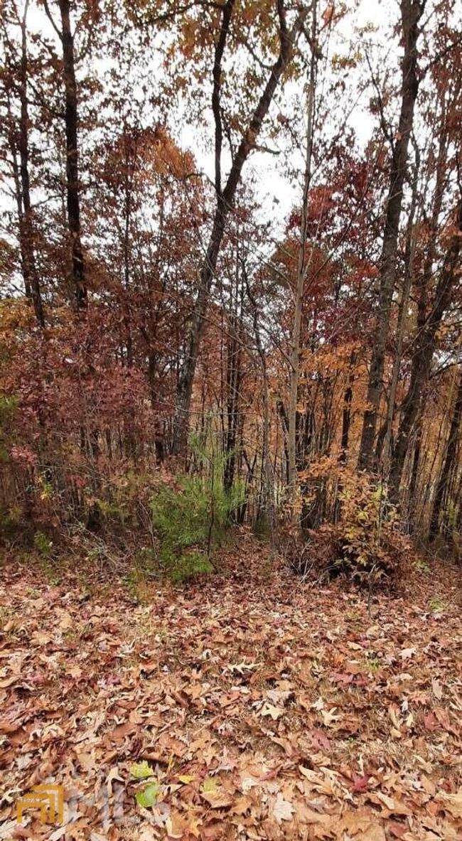 177 - 0 Owen Glenn Dr, Home with 0 bedrooms, 0 bathrooms and null parking in Blairsville GA | Image 5