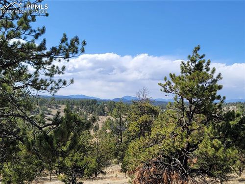 84 Victor Cir, Florissant, CO, 80816-9056 | Card Image